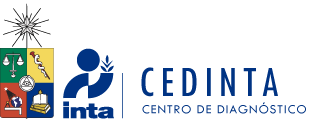 Centro de diagnóstico | CEDINTA